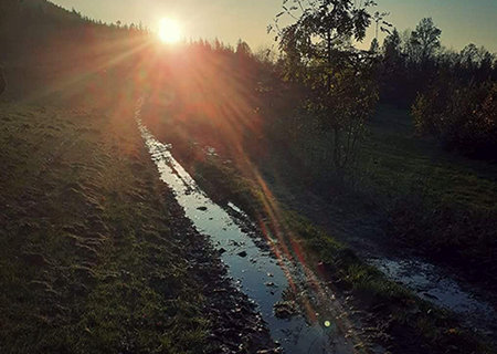 zrcadlení