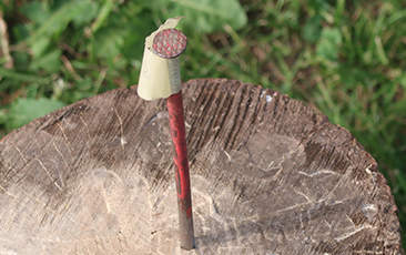 hřebík