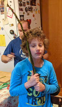 jsem připraven