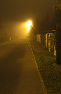 sychravý podzim