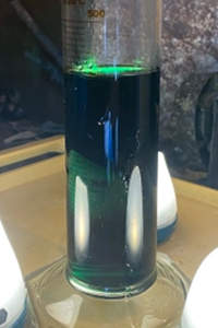 lab