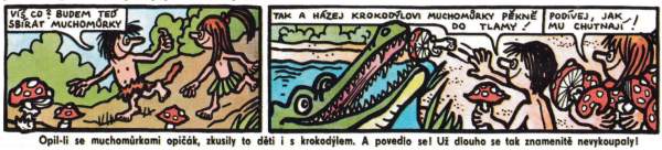muchomůrky