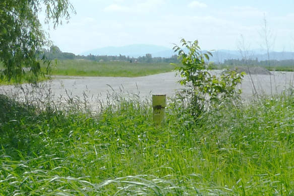letiště