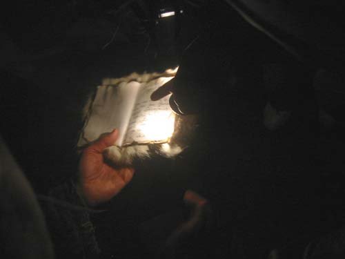 gi116