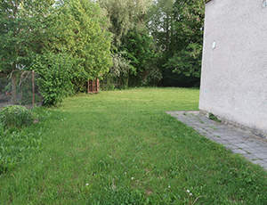 tráva