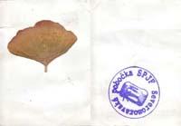 propustka