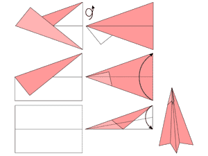 vlaštovka přesná